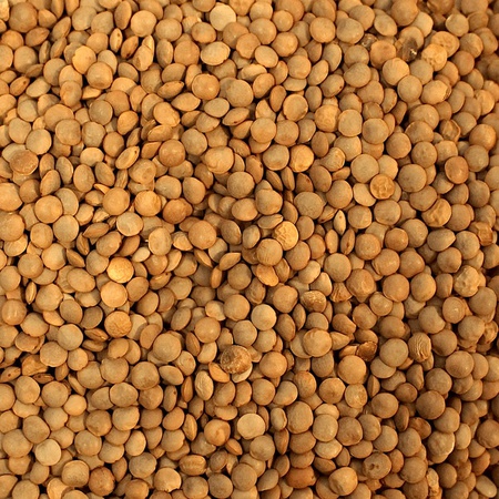 BDT ülkelerinden bakliyat ve ayçiçek yağı ihracatı