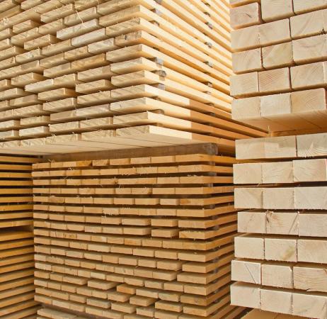 Обрезной Лес