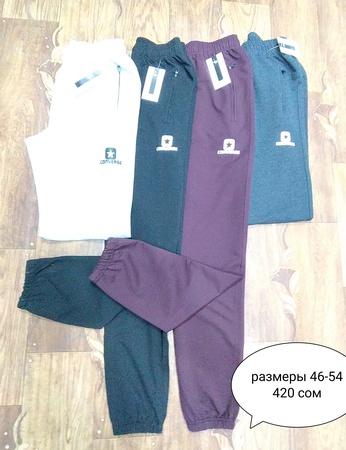 Мужские спортивные штаны. Трико