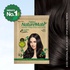 Nisha Naturemate Natural Henna Based Hair Color 90g - Original Black | Ammonia-Free, PPD & Resorcinol Free | 100% Grey Coverage Hair Colour