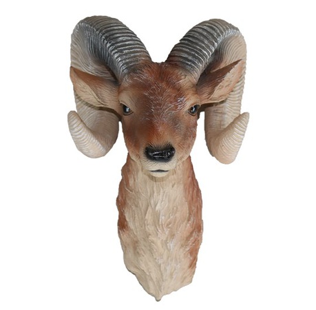 Голова Баран