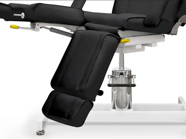 Тату Стул Пантера