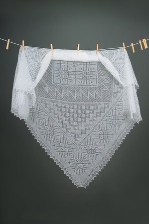 Ajur tüylü örümcek ağı A 120