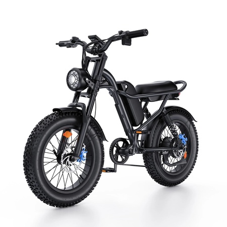 20" Adult Electric Bike 750W 48V 15.6Ah 28MPH Bicycle Fat Tire E-Mountain Bike