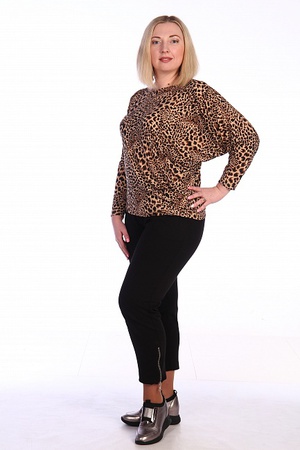 Блузка Верчели М17-071 -03-02