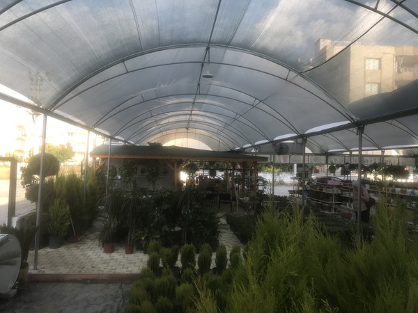 KOCH GREENHOUSE