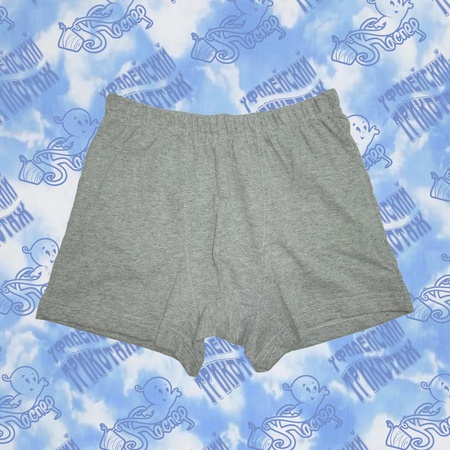 Трусы мужские 02-12004