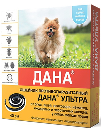 ОШЕЙНИК для щенков и собак мелких пород