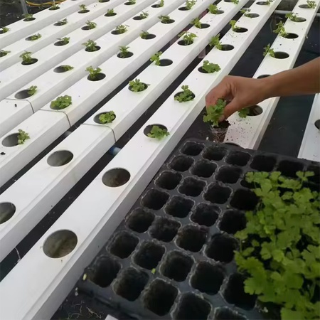 Подносы для растений и водостоков, система выращивания гидропоники, стол для посадки теплиц, упакованный с деревянным корпусом и деревянным поддоном  Такую систему для выращивания растений помогу заказать с Китая , беру только оптовые заказы .