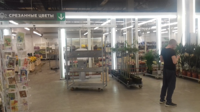 flowers in small and large wholesale large assortment