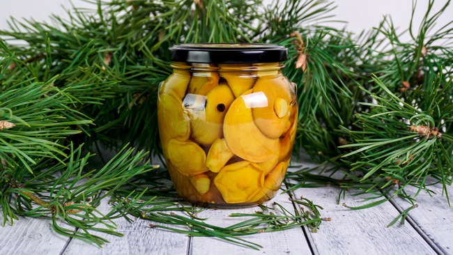 Моховик в маринаде из Сибири (ХМАО-ЮГРА)