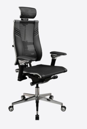 Yoga Spine Triumph B2