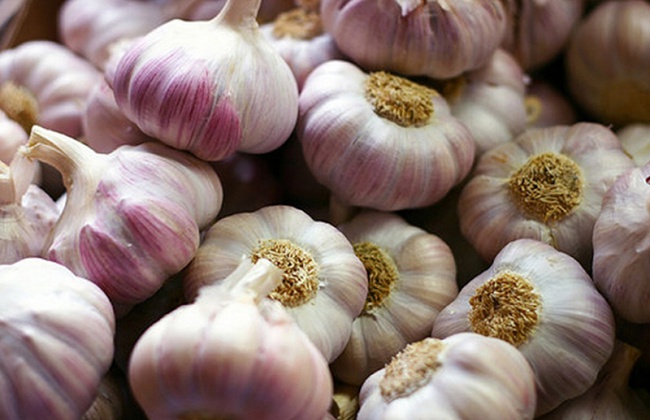 Посевной материал чеснока от производителя