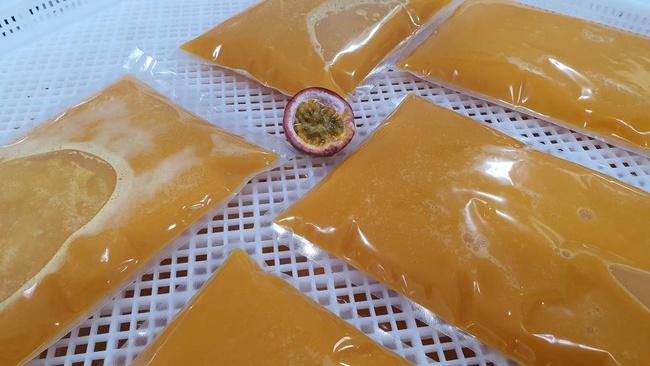 ÇARKIFELEK MEYVESİ Dondurulmuş Toptan Satış. Fabrikadan doğrudan teslimat