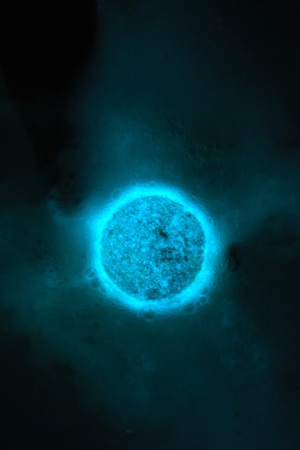 Бомбочки  для ванной. Завораживающее сияние [светится в темноте]