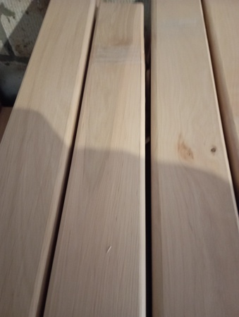 Полок ольха разных сортов