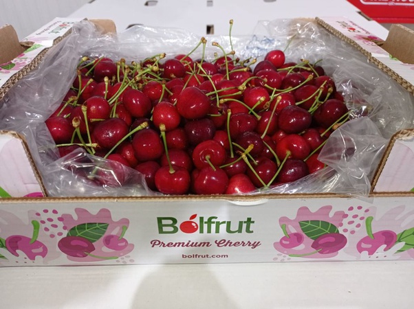 Черешня сорта Наполеон из Турции