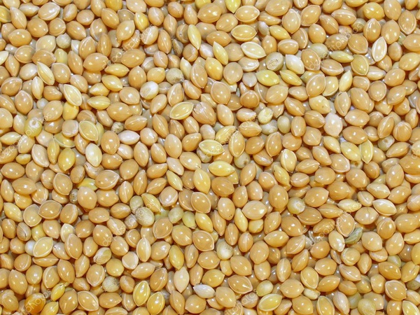 Darı, karabuğday, nohut