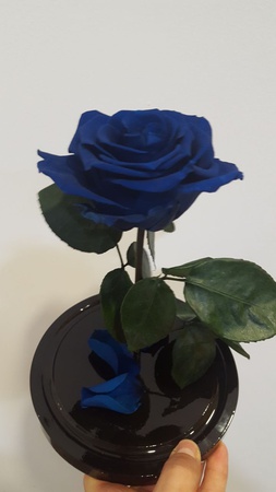 Роза в колбе 28см премиум синий