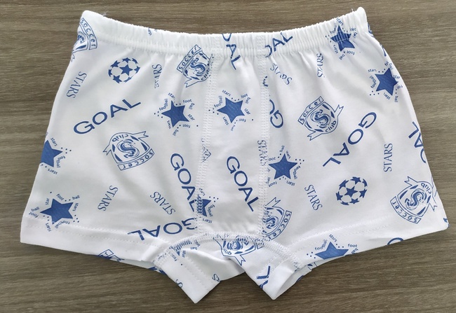 Erkek çocuk külot 13001-2 baskılı desen