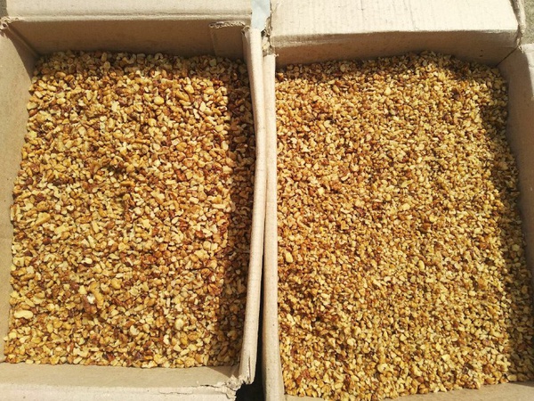 Грецкий орех (Walnut)