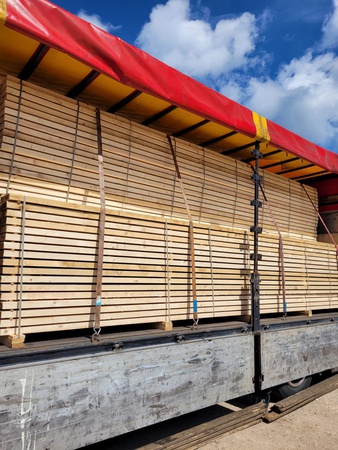 Обрезной Лес