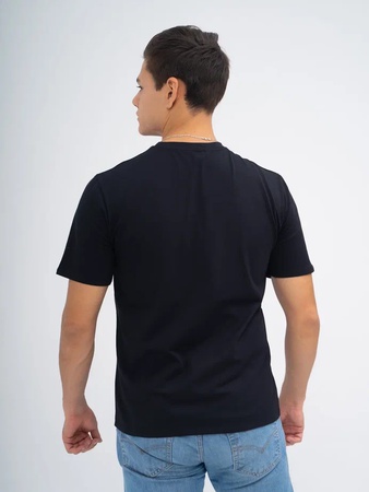 Футболка мужская база 100