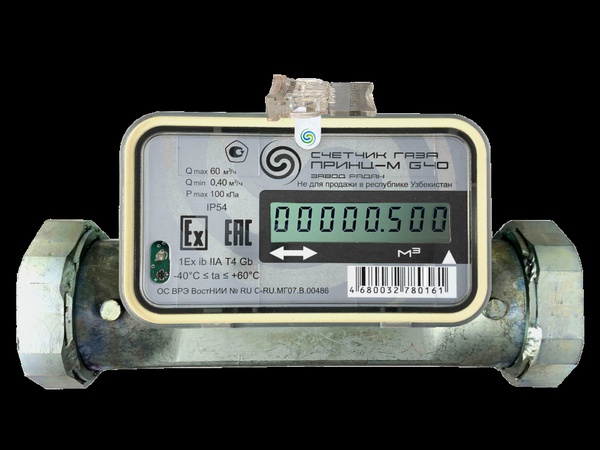 Счетчик газа «Принц-М» G40