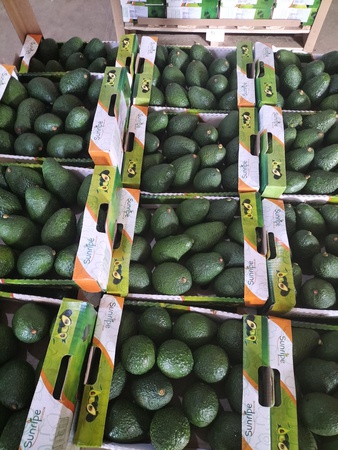 Премиум танзанийский авокадо Хасс