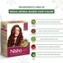 Nisha Hair Colour for Women - Red Brown, 90g (Pack of 1) | 100% Pure Henna-Based Powder Ammonia-Free