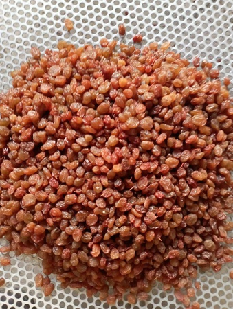 Изюм султана коричневый