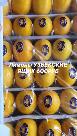 Оптом ягоды, фрукты и овощи