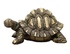 Статуэтка Черепаха большая