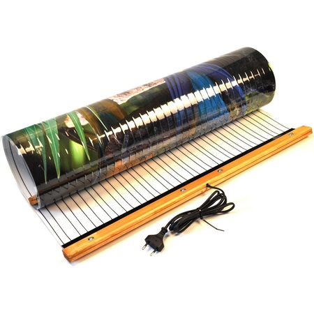 Елена  Денисова