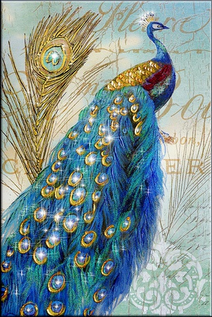 الريش الذهبي 1