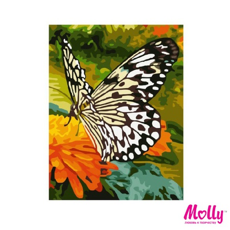 Sayı ile boyama Kelebek