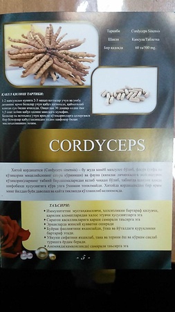 Кордицепс | Cordyceps