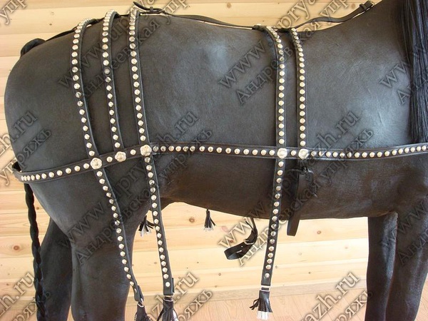 Шлея выездная черная