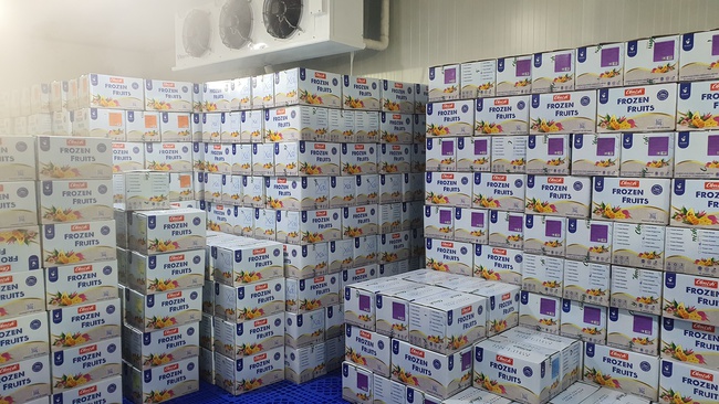 Папайя заморозка Оптом. Прямая поставка с завода