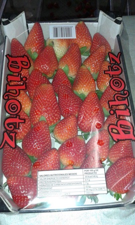 Свежие фрукты и овощи из Марокко