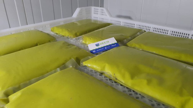 Dondurulmuş Avokado. OLMISH fabrikalarından dondurulmuş meyveler