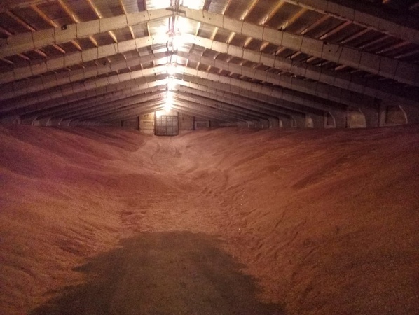 Льняное семя Лён