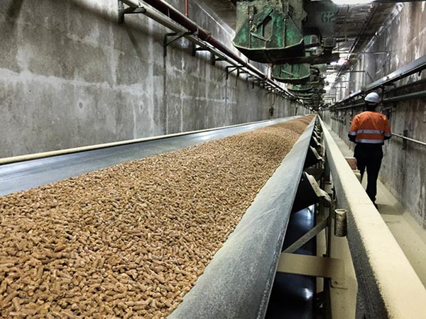 Древесные пеллеты класса А1