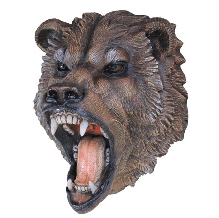 Ayı kafa hırıltıları