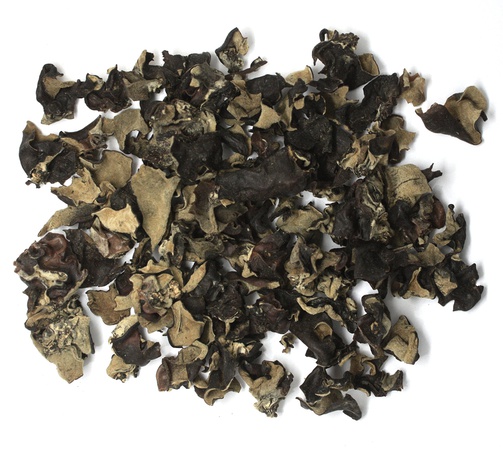 Муэр гриб древесный