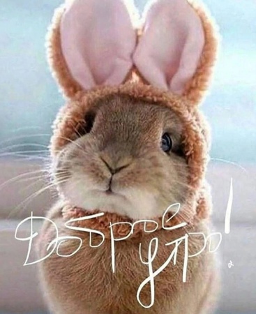 Оптом ягоды, фрукты и овощи