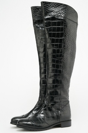 Schwarze Stiefel unter dem Krokodil (Eurozima) s111