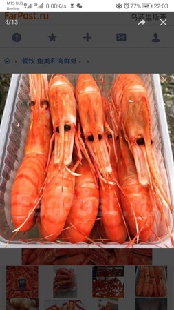 Boiled-frozen shrimps