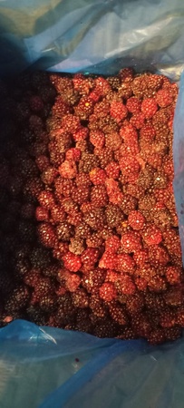 Замороженная ежевика