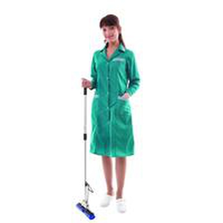 Bayan ve hizmetçi Vilor&#39;u temizlemek için bornoz